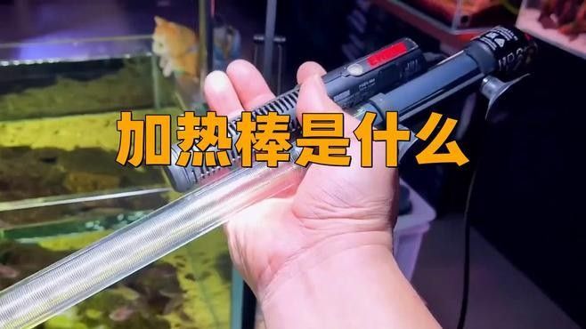 加熱棒節能模式有何作用？（加熱棒的節能模式是什么？）