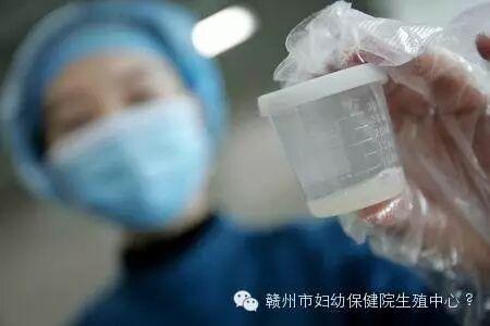 人工授精費用大概是多少？（人工授精全流程解析）