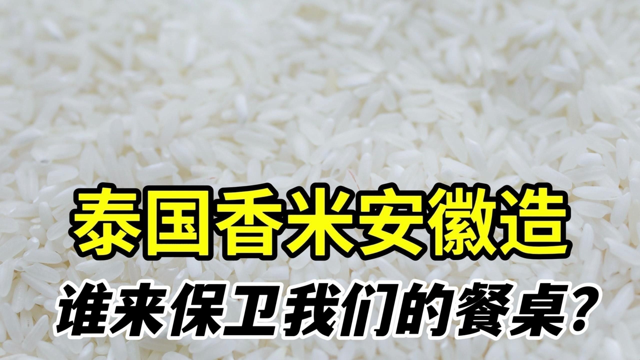 金龍魚泰國香米的質量如何