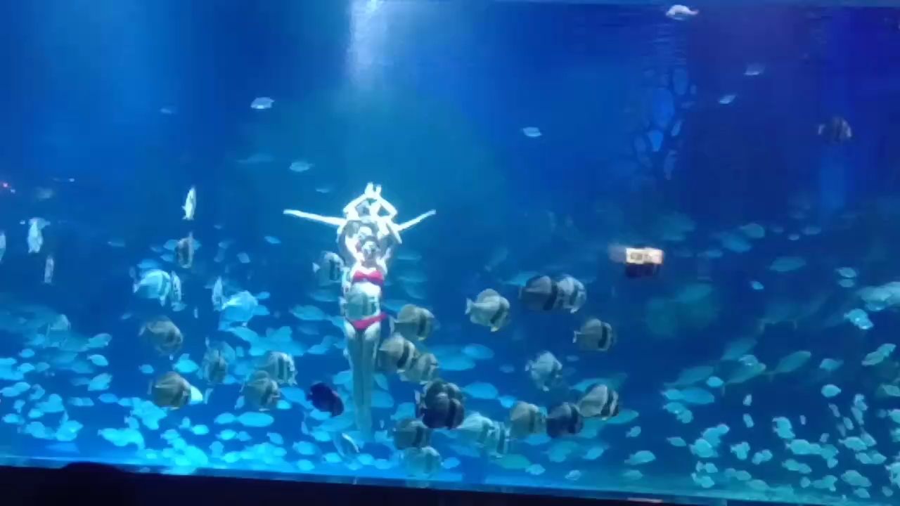 紅龍魚幼崽多久喂一次？（龍魚幼崽的喂食頻率取決于多種因素，包括它們的年齡、大小以及所處的生長階段）