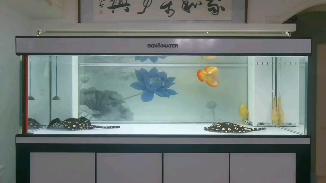 2025年即將耗盡…（2025年即將耗盡）