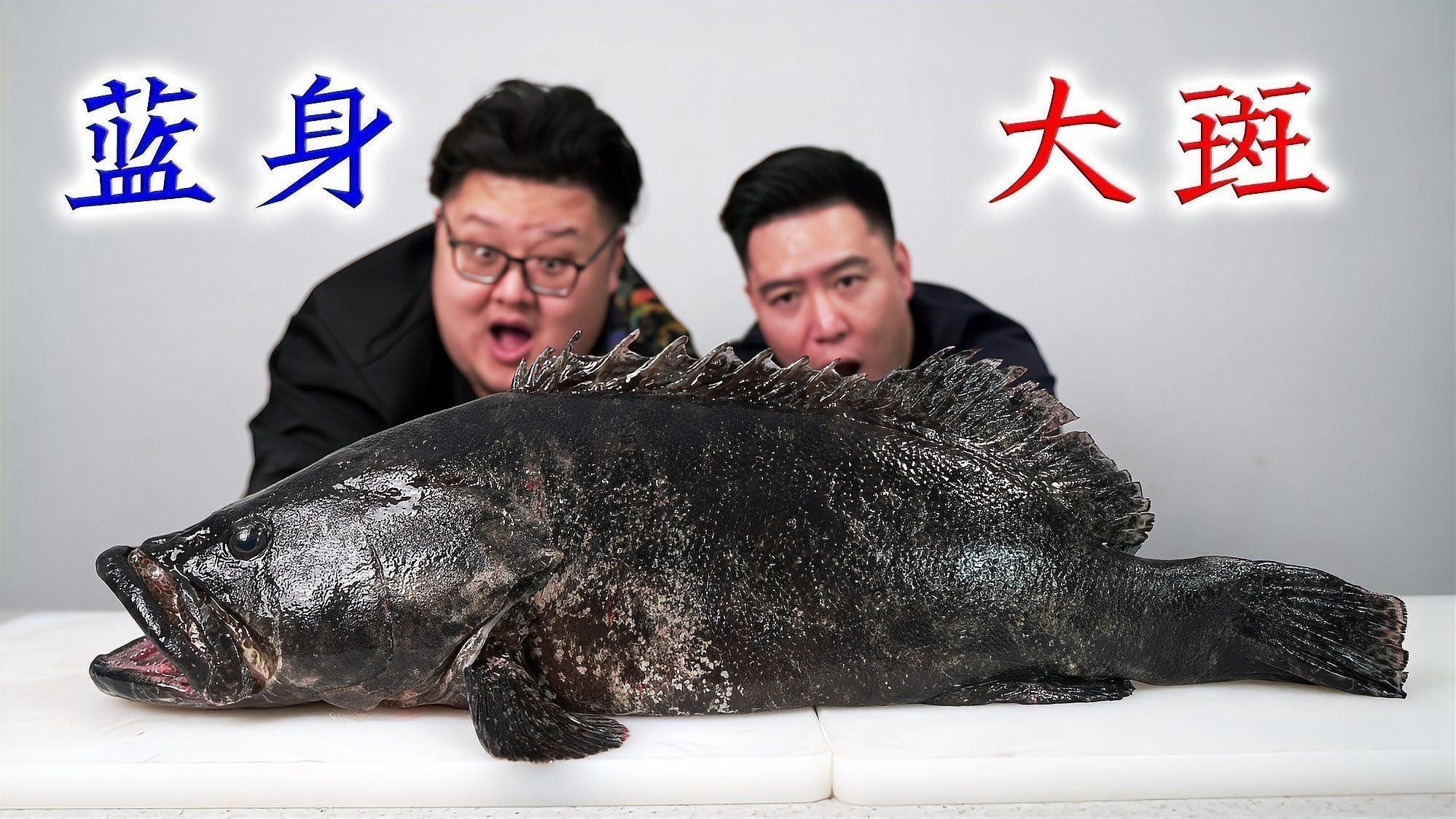 如何保養(yǎng)大金龍魚膠？（大金龍魚膠的保存和保存方法）