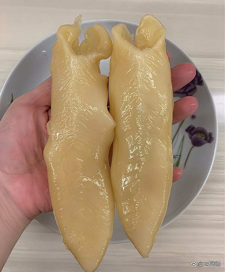 如何保養(yǎng)大金龍魚膠？（大金龍魚膠的保存和保存方法）
