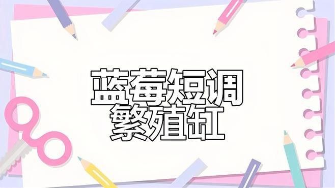 繁殖缸中需要哪些設備？（南美短鯛繁殖缸繁殖缸設置及選型建議）