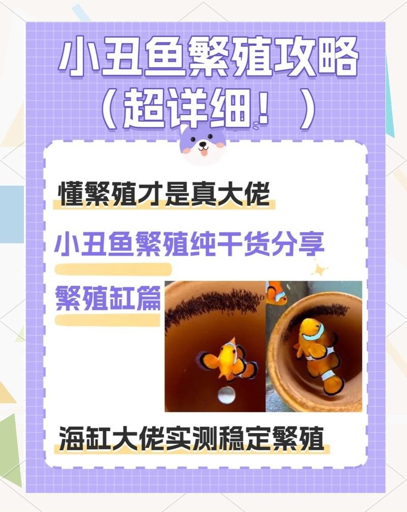 繁殖缸中需要哪些設備？（南美短鯛繁殖缸繁殖缸設置及選型建議）