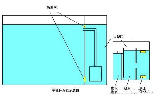 繁殖缸中需要哪些設備？（南美短鯛繁殖缸繁殖缸設置及選型建議）
