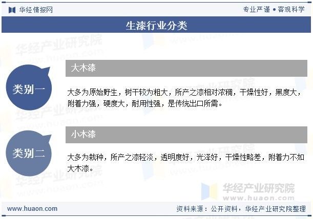 龍魚漆業未來有哪些發展規劃？（龍魚漆業未來發展規劃） 龍魚漆業未來有哪些發展規劃？（龍魚漆業未來發展規劃） 龍魚百科 第2張