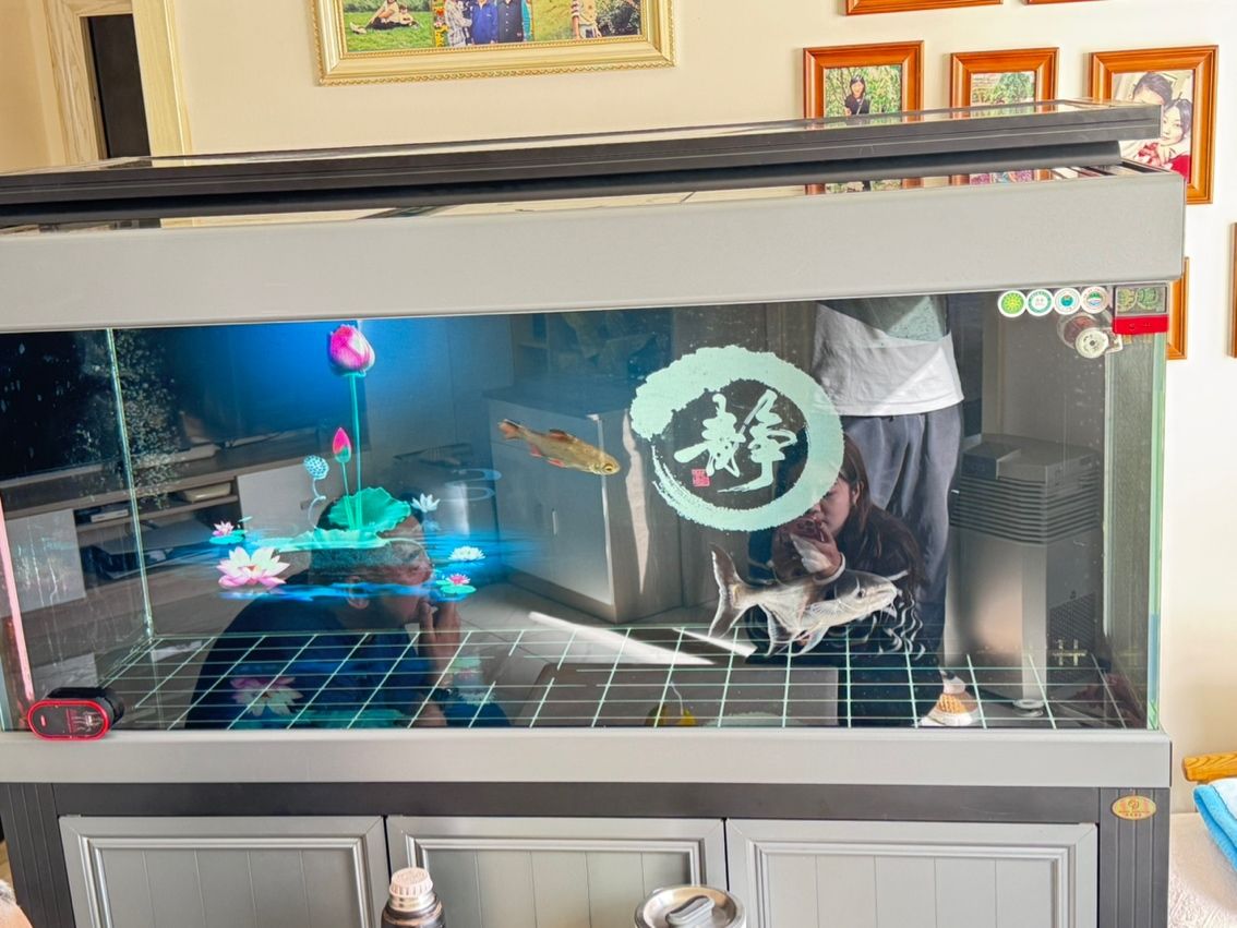 上岸了（上岸了，本文探討了個人在職業發展中如何實現“上岸”）