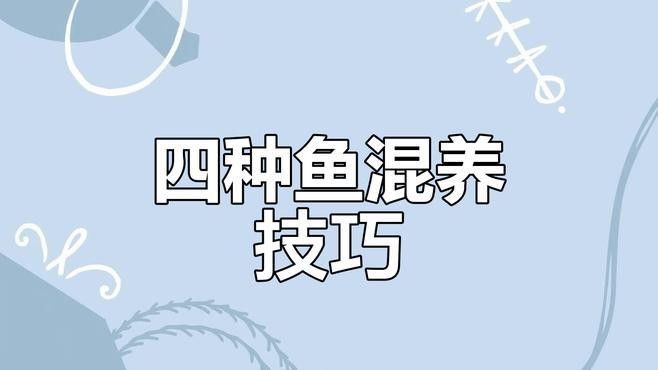 能再推薦幾種混養魚嗎（養魚是一種將兩種或多種魚類混合飼養的養殖方式，可以增加水質） 能再推薦幾種混養魚嗎（養魚是一種將兩種或多種魚類混合飼養的養殖方式，可以增加水質） 龍魚百科 第8張