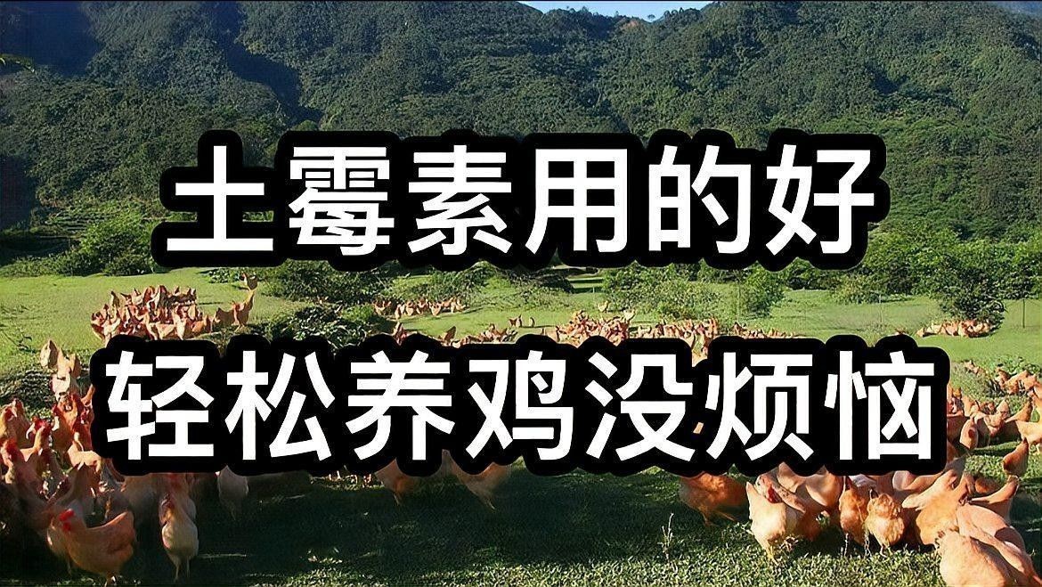 使用土霉素后多久見效（土霉素在養殖中作用好，5大方案你用對了嗎）