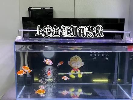 九星龍魚缸有哪些型號可選（九星龍魚缸型號及配件信息：九星龍魚缸安裝全流程）