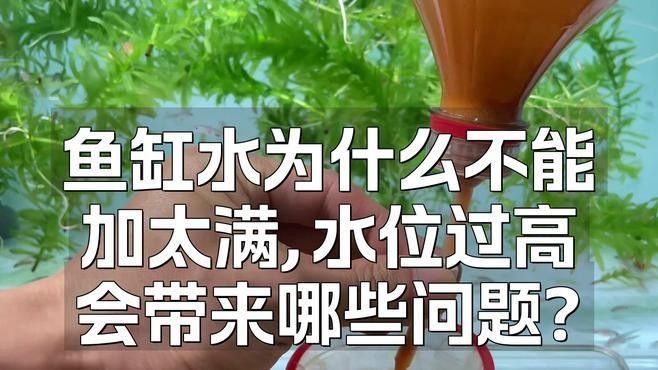 高水位對紅龍魚有哪些影響（水位對紅龍魚的影響）