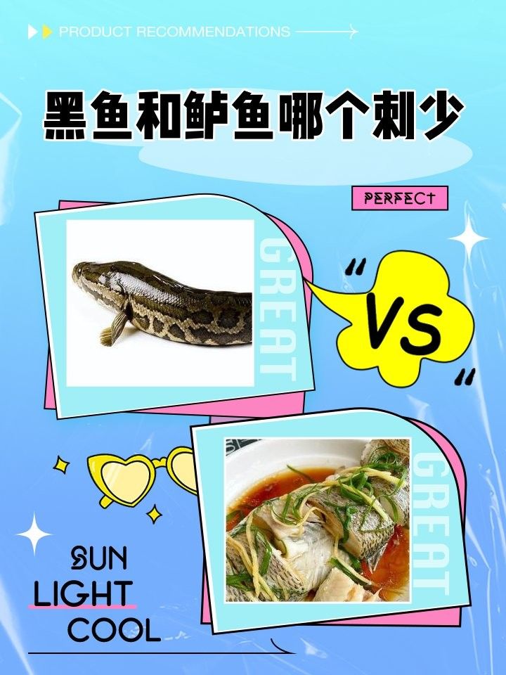 黑魚和鱸魚哪個刺更少（黑魚和鱸魚哪個刺少）