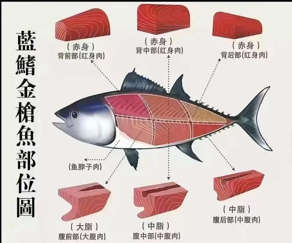 黑魚和鱸魚哪個刺更少（黑魚和鱸魚哪個刺少）