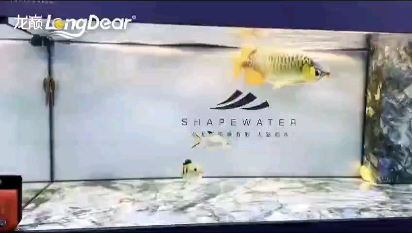 轉發913