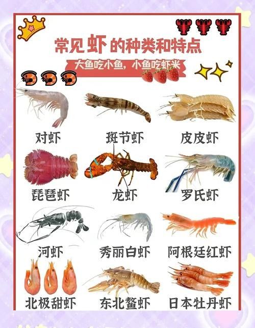 河蝦和海蝦的價格差異大嗎（河蝦和海蝦的價格差異主要受以下幾個因素影響）