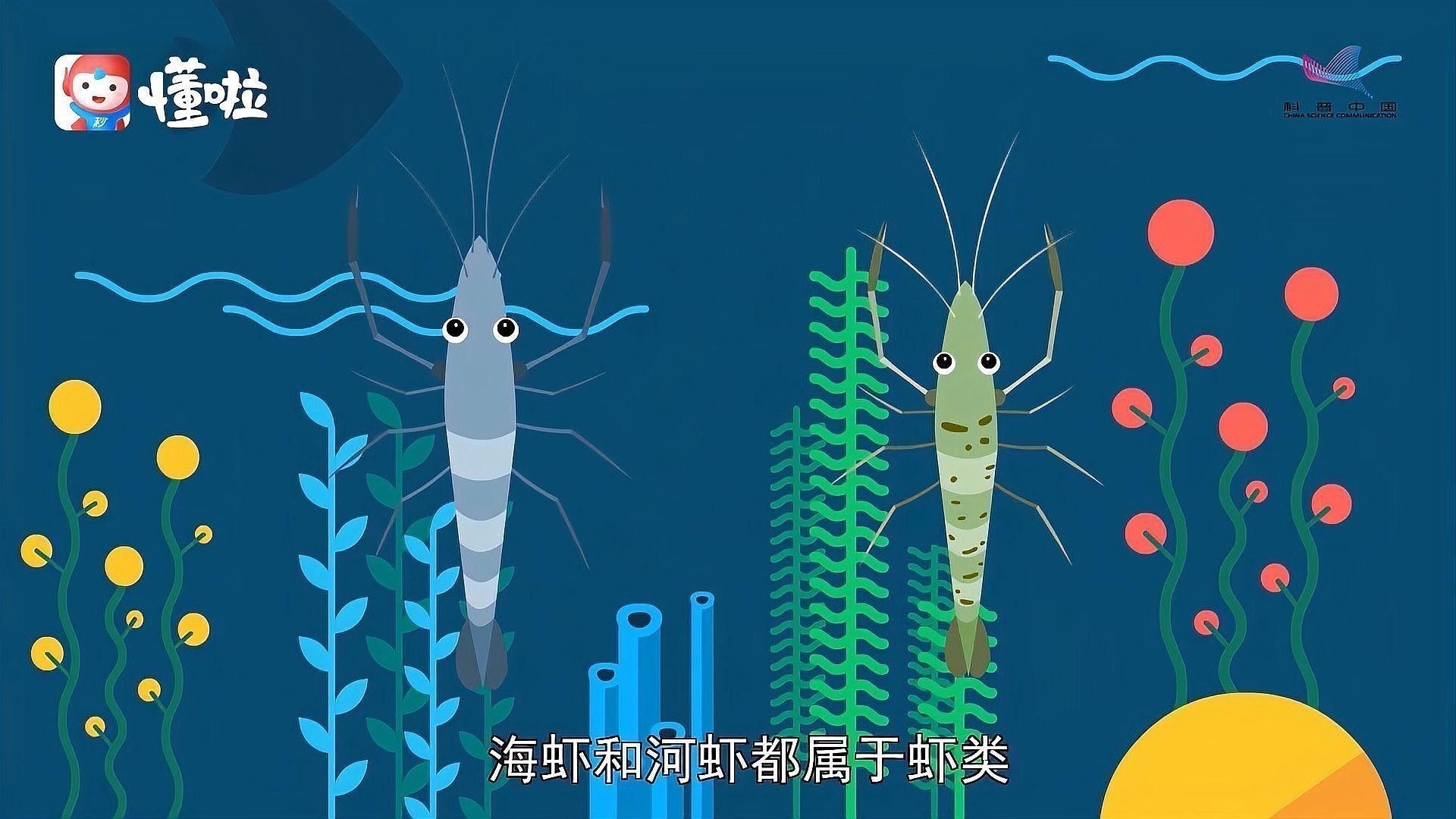 河蝦和海蝦的價格差異大嗎（河蝦和海蝦的價格差異主要受以下幾個因素影響）