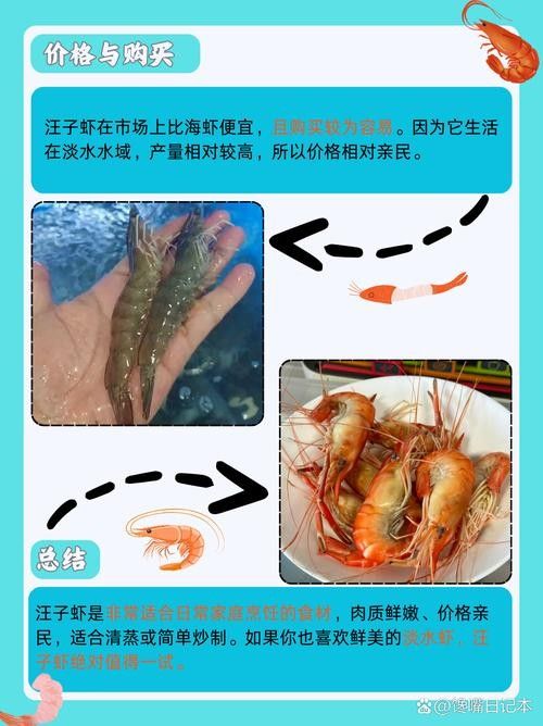 河蝦和海蝦的價格差異大嗎（河蝦和海蝦的價格差異主要受以下幾個因素影響）