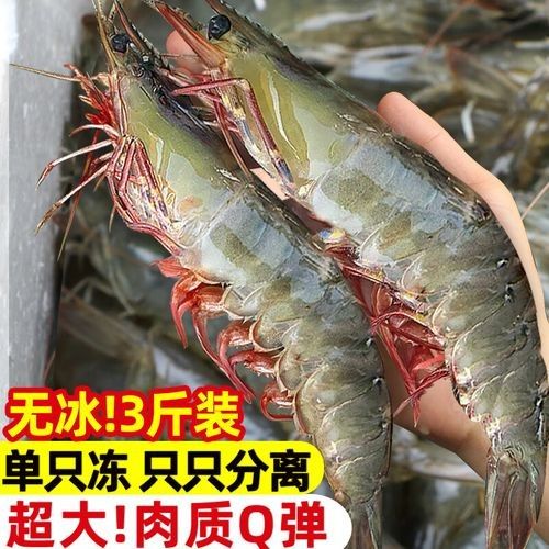 河蝦和海蝦的價格差異大嗎（河蝦和海蝦的價格差異主要受以下幾個因素影響）