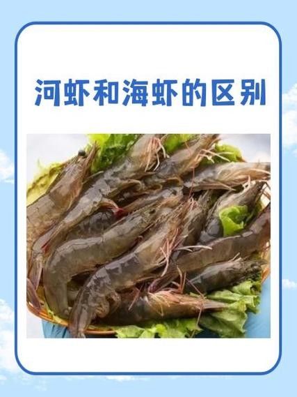 河蝦和海蝦的價格差異大嗎（河蝦和海蝦的價格差異主要受以下幾個因素影響）