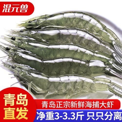 河蝦和海蝦的價格差異大嗎（河蝦和海蝦的價格差異主要受以下幾個因素影響）