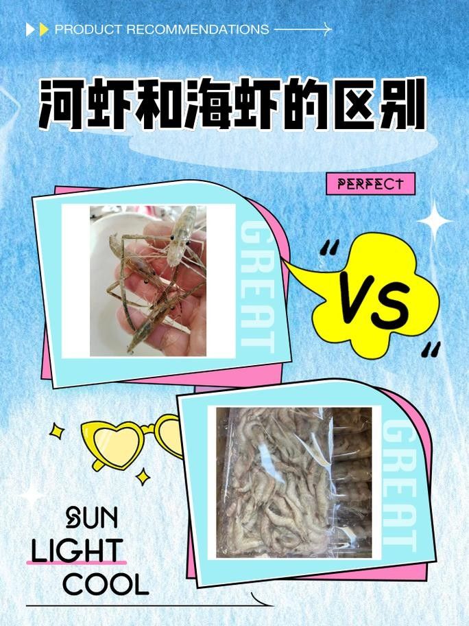 河蝦和海蝦的價格差異大嗎（河蝦和海蝦的價格差異主要受以下幾個因素影響）