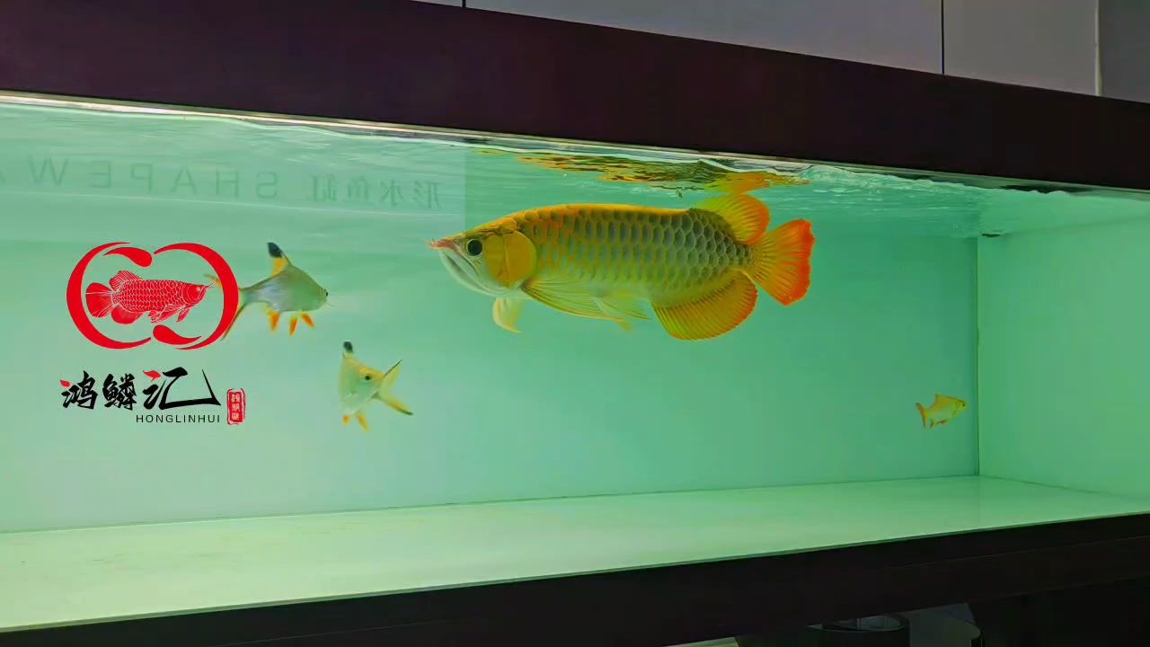 美美噠（“美美噠”現象的深入思考）