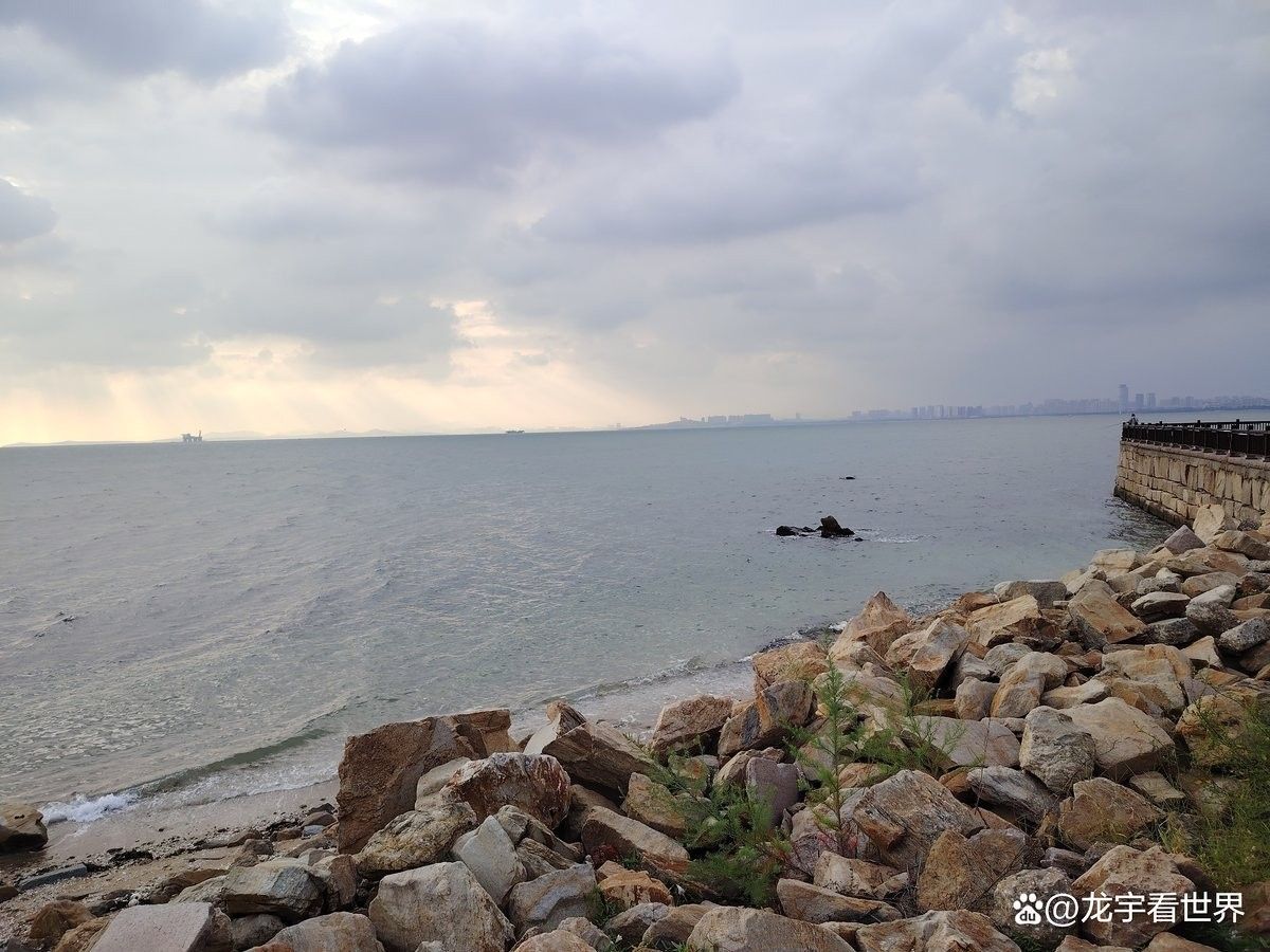 海龍魚禁令對消費(fèi)者有哪些影響 海龍魚禁令對消費(fèi)者有哪些影響 龍魚百科 第2張
