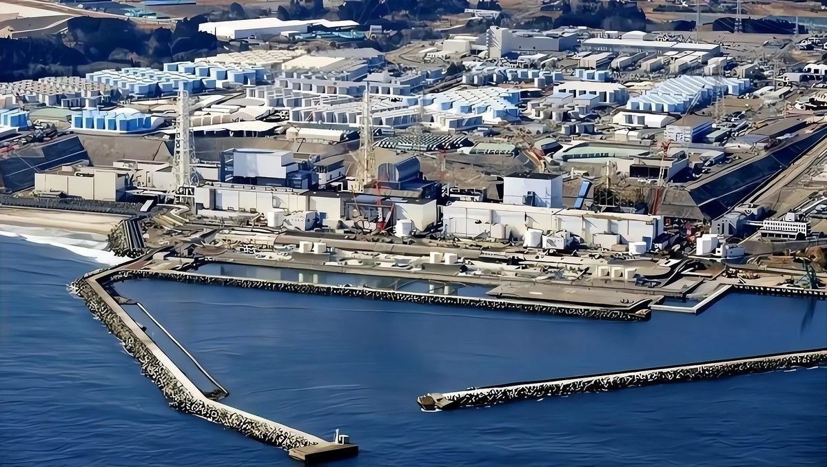 海龍魚禁令對消費(fèi)者有哪些影響 海龍魚禁令對消費(fèi)者有哪些影響 龍魚百科 第3張