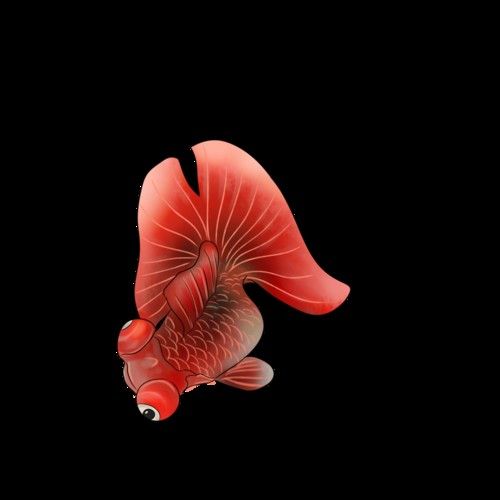 哪里可以找到金龍魚科技海報模板