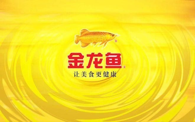 哪里可以找到金龍魚科技海報模板
