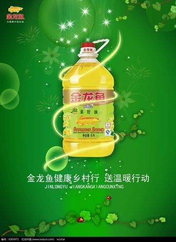哪里可以找到金龍魚科技海報模板