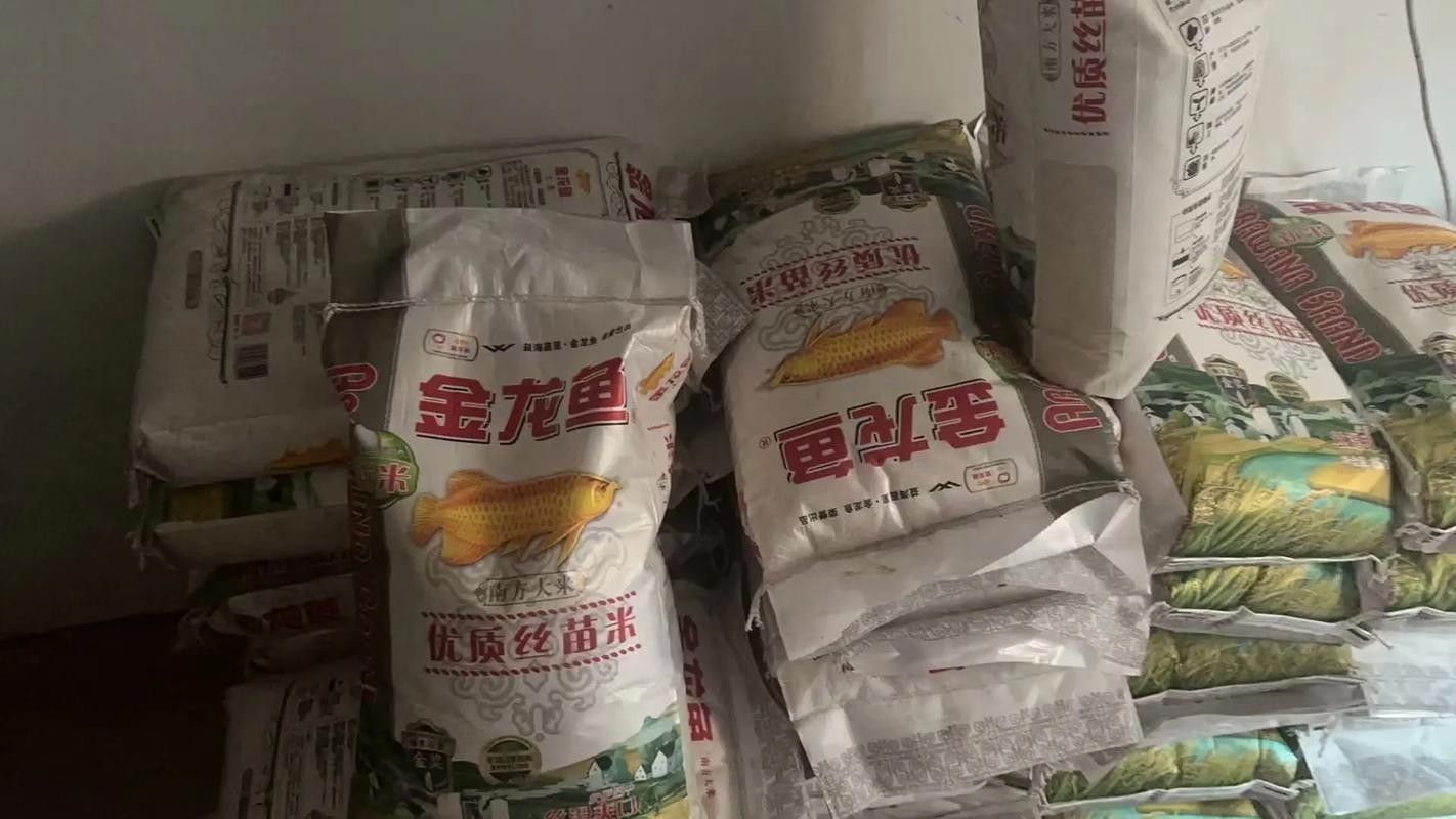 金龍魚特選絲苗米有哪些品種？（金龍魚特選絲苗米） 金龍魚特選絲苗米有哪些品種？（金龍魚特選絲苗米） 龍魚百科 第5張