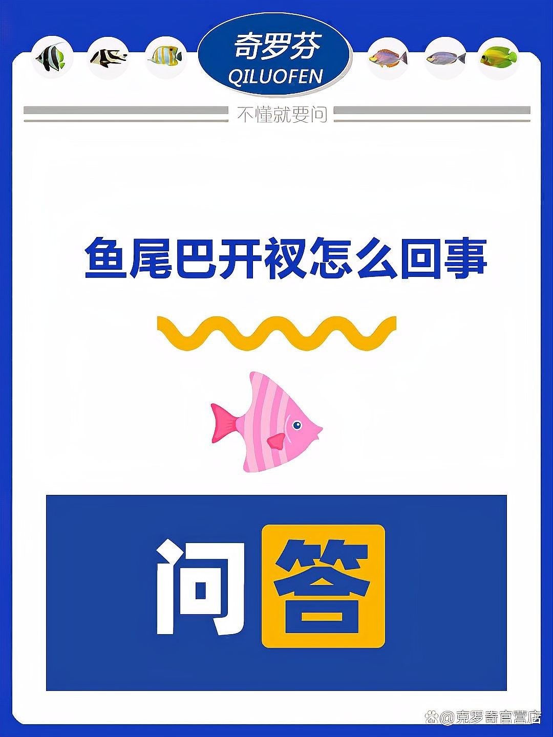 金龍魚尾部開叉會自愈嗎（金龍魚尾部開叉會自愈嗎金龍魚尾部開叉會自愈嗎）