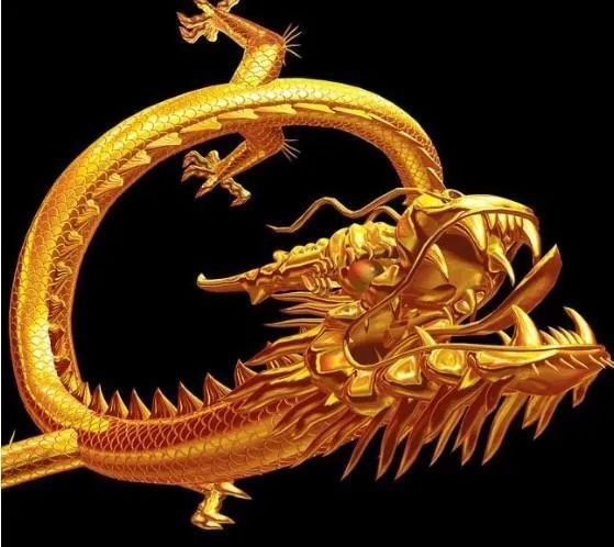 龍魚取名有哪些禁忌