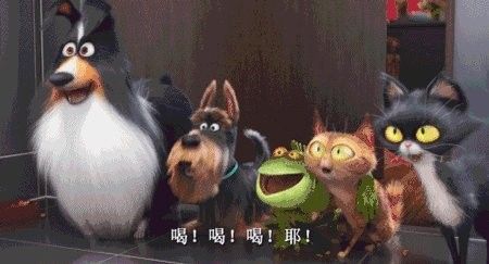 如何聯(lián)系寵心源動物醫(yī)院 如何聯(lián)系寵心源動物醫(yī)院 龍魚百科 第1張