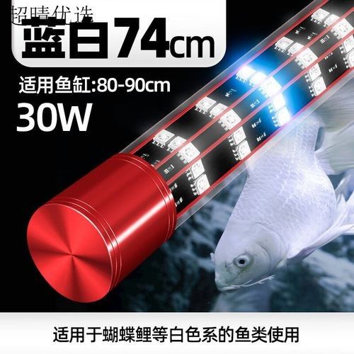 如何選擇適合金龍魚的LED燈？