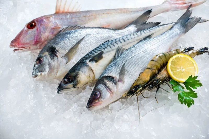 如何判斷飼料魚是否新鮮（判斷飼料魚是否新鮮的飼料魚是否新鮮的方法和技巧） 如何判斷飼料魚是否新鮮（判斷飼料魚是否新鮮的飼料魚是否新鮮的方法和技巧） 龍魚百科 第5張