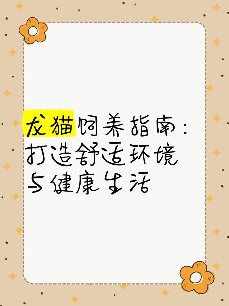 龍貓多久洗一次澡（龍貓多久洗一次澡，龍貓不會(huì)洗澡怎么辦）