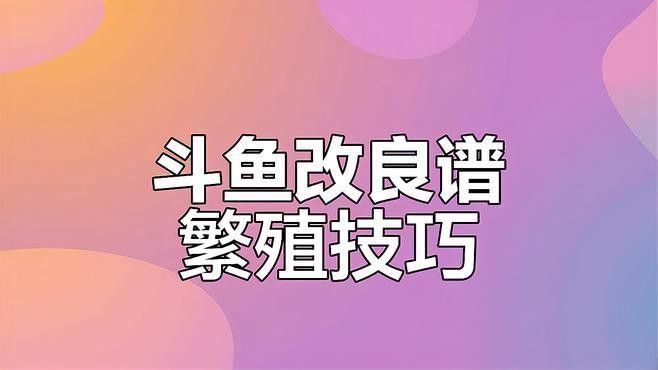 加里曼丹副斗魚繁殖方法（加里曼丹副斗魚繁殖全攻略miss葉走路不迷喵斗魚繁殖全攻略）