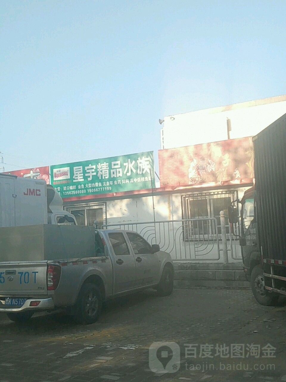 福山哪個水族館龍魚好？祥龍魚場龍魚（福山水族館祥龍魚場）