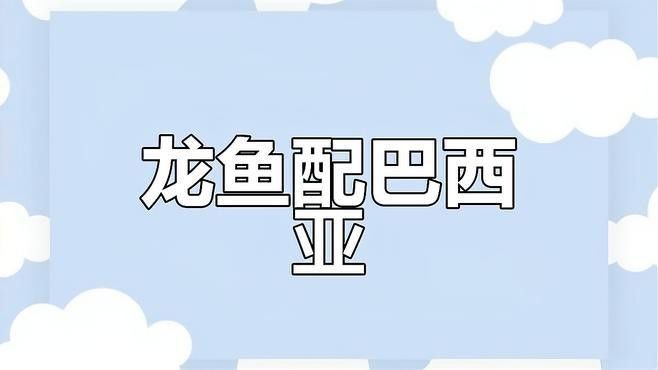 巴西亞和哪些魚混養(yǎng)最和諧？（巴西亞和什么魚混養(yǎng)比較好） 巴西亞和哪些魚混養(yǎng)最和諧？（巴西亞和什么魚混養(yǎng)比較好） 龍魚百科 第1張