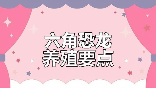 如何科學(xué)飼養(yǎng)六角恐龍魚？（六角恐龍飼養(yǎng)六角恐龍魚需要遵循一些疾病的步驟和注意事項(xiàng)）