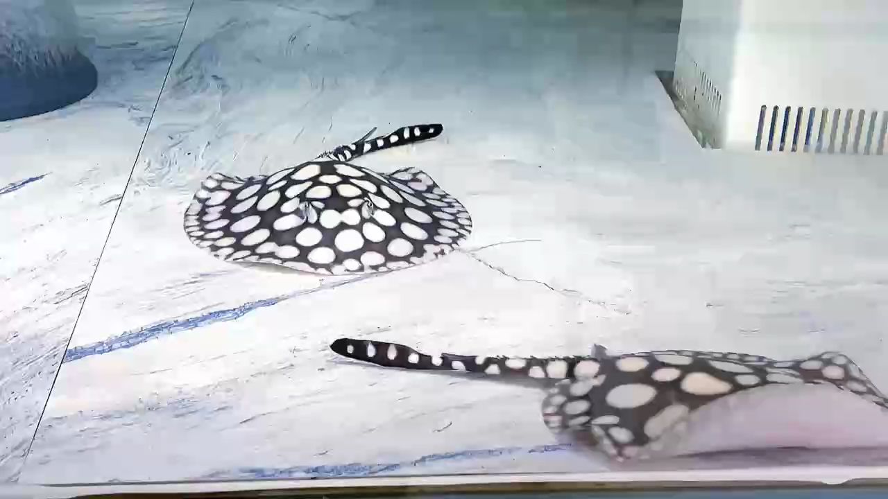 ???????? ???????????? ‘’ 2?2?/??.? 撕下秋天的日歷 和冬日?????? ????