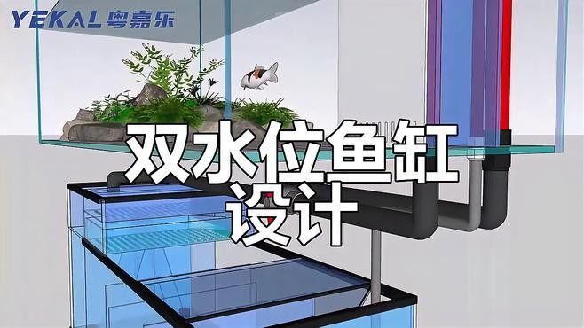 雙水位設置需要哪些材料？（雙水位設置的材料及技術要點）