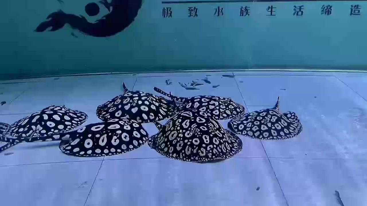 入冬了，揮別秋光，啟幕四季的最后一場。（入冬了，揮別秋光）