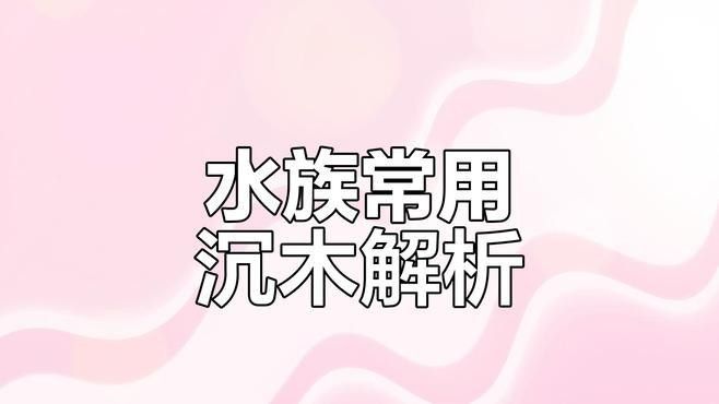 哪種沉木適合龍魚缸（適合龍魚缸的幾種沉木類型及其特點及其特點及其特點）