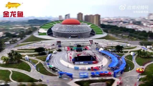 金龍魚還參與過哪些其他賽事？（金龍魚助力鄉村體育賽事） 金龍魚還參與過哪些其他賽事？（金龍魚助力鄉村體育賽事） 龍魚百科 第2張