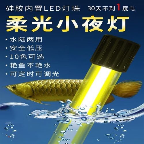龍魚缸小夜燈有推薦嗎（龍魚缸小夜燈怎么選）