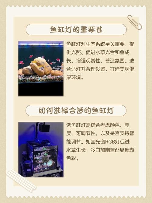 如何設置七彩雷龍魚缸的照明時間（七彩雷龍魚缸的照明時間）